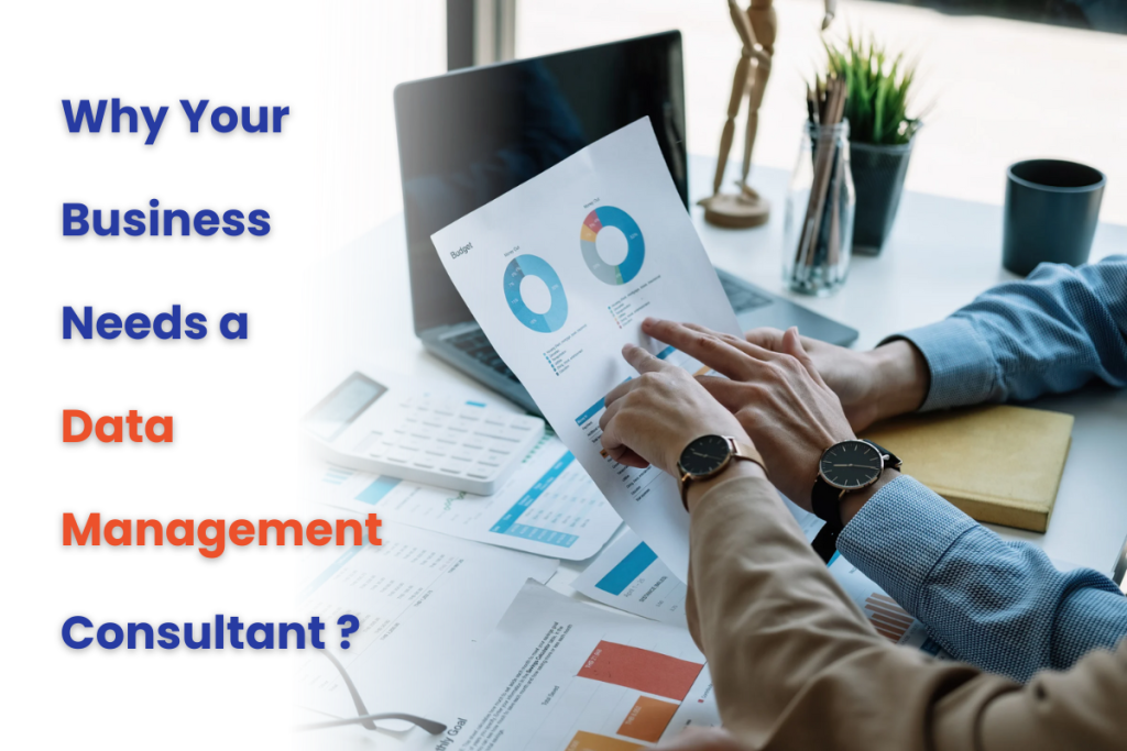 Why Your Business Needs a Data Management Consultant?