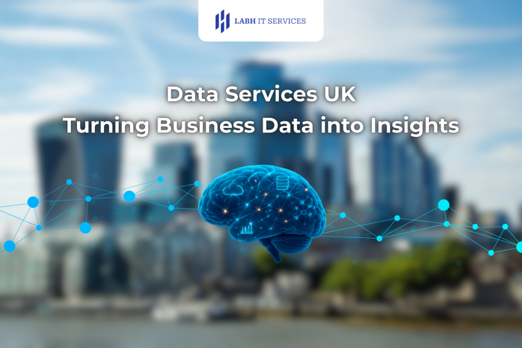 Data Services UK: Turning Business Data into Insights