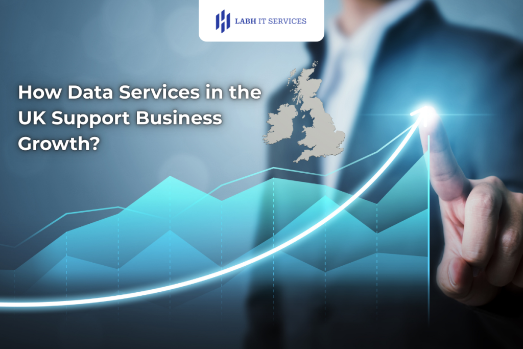 How Data Services in the UK Support Business Growth?