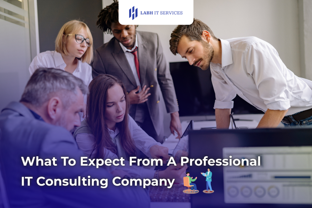 What To Expect From A Professional IT Consulting Company